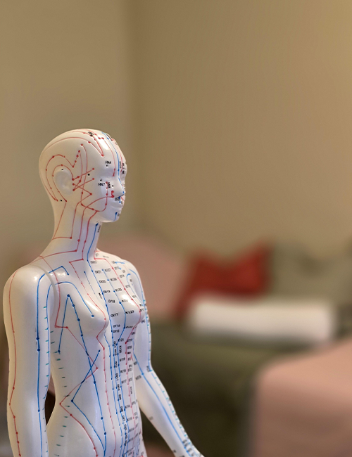 hebammenstube standort 1180 wien